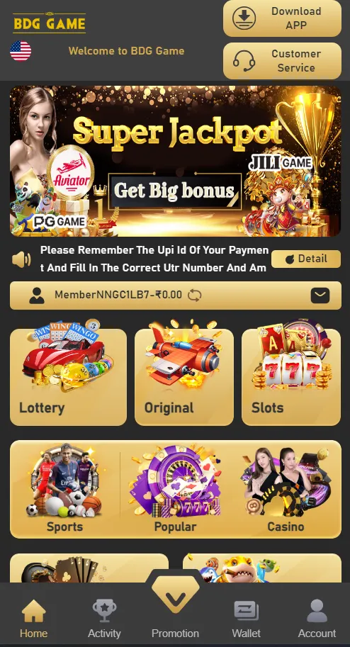 Types Of Games Available In The BDG Game App